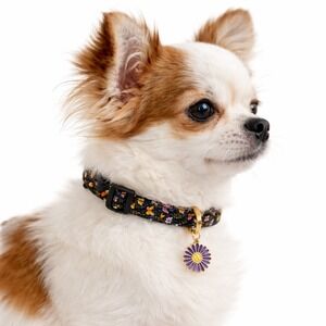 Raisingwell Small Dog Collar Purple Floral Butterfly Pattern with Daisy Charm S